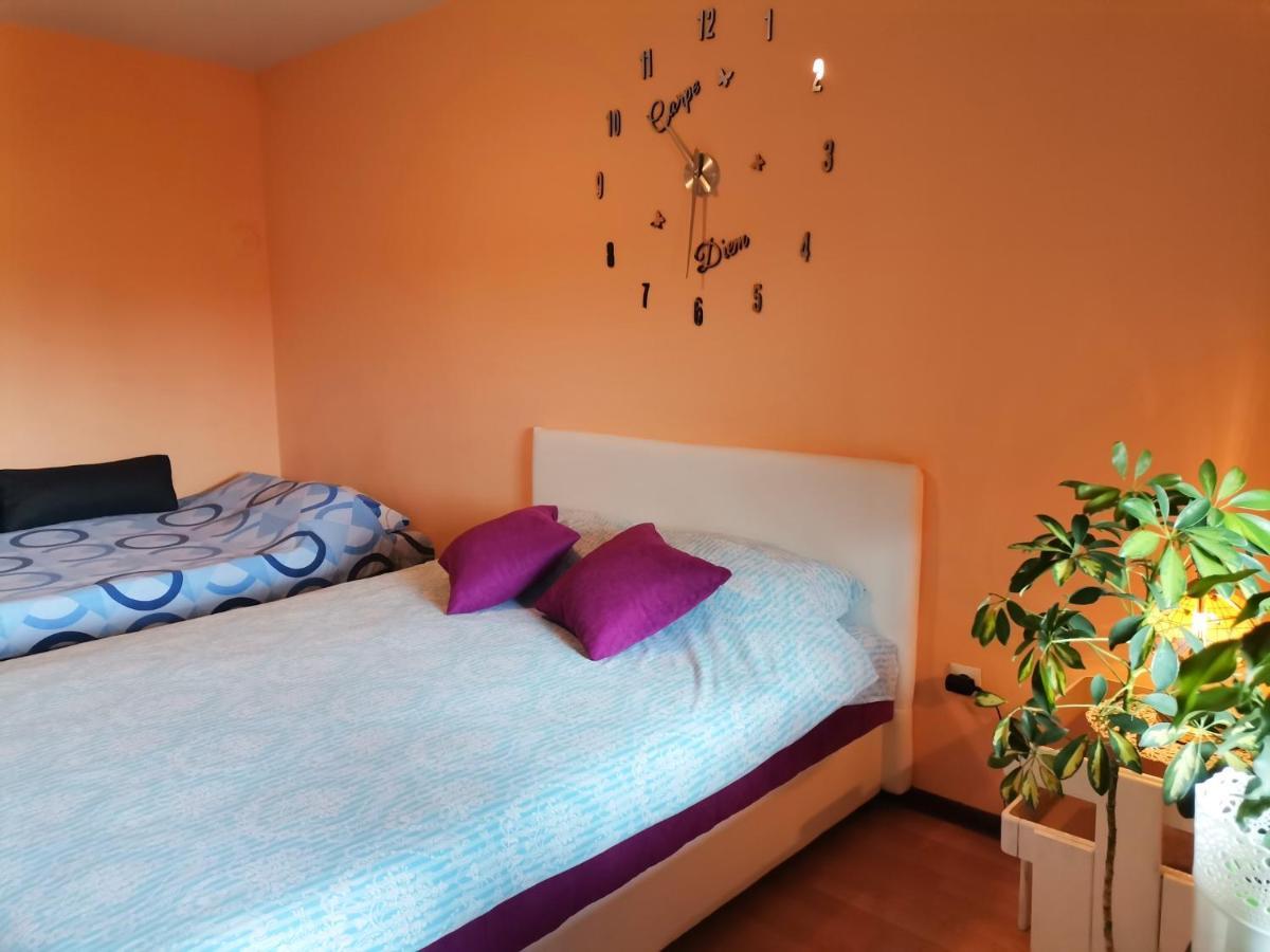 Apartment Andjela Златибор Экстерьер фото