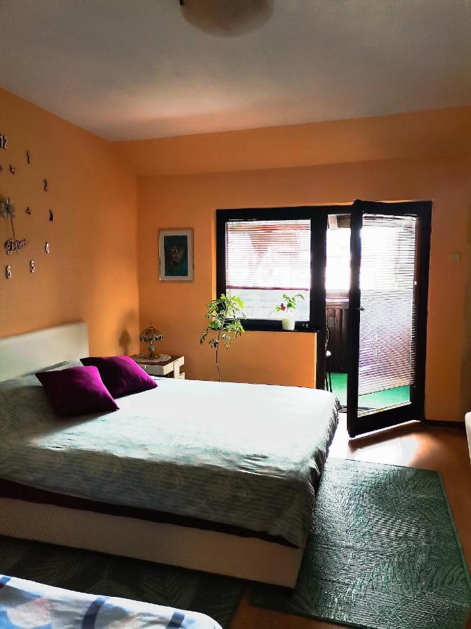 Apartment Andjela Златибор Экстерьер фото