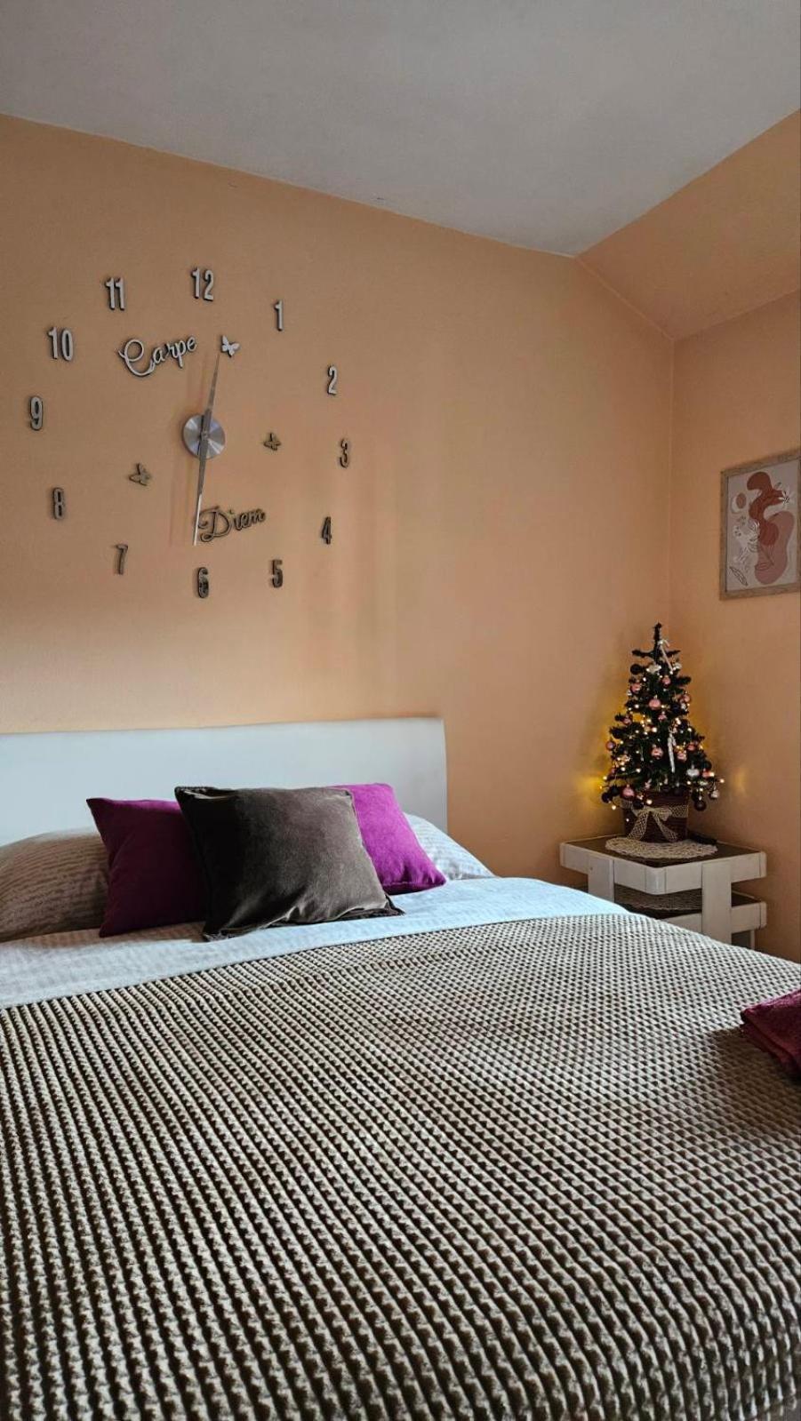 Apartment Andjela Златибор Экстерьер фото